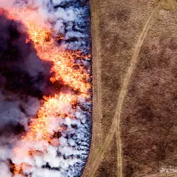 December 2017 (The Wilds)